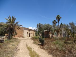 Propriété à Campos. Finca 100.000 m2 entre campos y la rapita