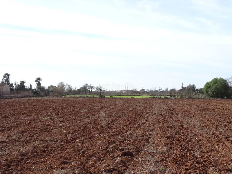 Foto 13777cb6-6ec1-46c6-9f07-92074584af6a. Masia amb xemeneia a Campos