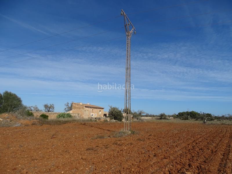 Foto 42e27d8e-e25e-478f-8e3f-d8f8b0621678. Masia amb xemeneia a Campos