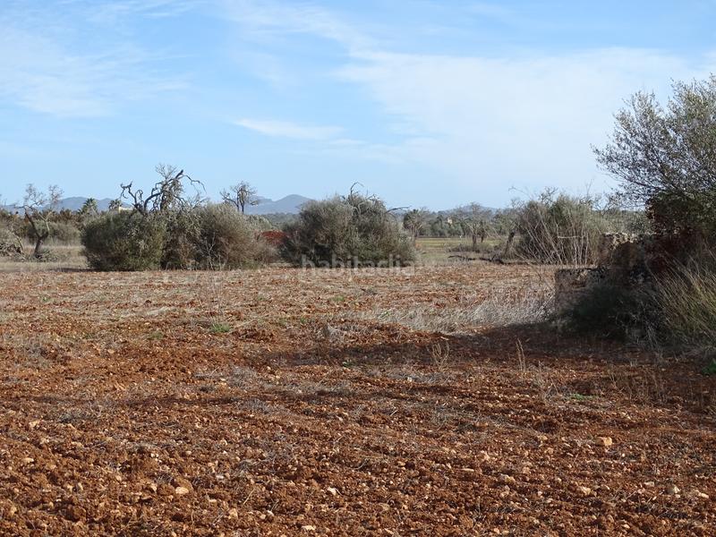 Foto 442d520e-6ff9-4be1-adb0-77ea948942b1. Masia amb xemeneia a Campos