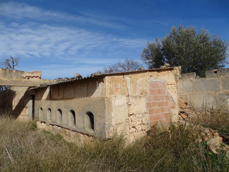 Foto 4f9c61f7-e153-4f36-9bf1-b26bf239b044. Masia amb xemeneia a Campos