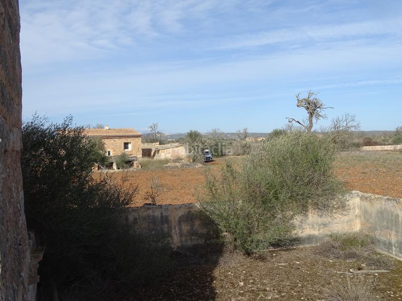 Foto 5fcbeb65-0ed5-456e-a540-b72d231f2876. Masia amb xemeneia a Campos