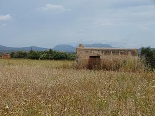Propriété à Campos. Finca 24.000 m2 entre campos y felanitx