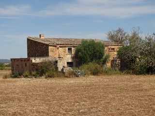 Rural plot in Zona R�stica - Interior. Venta de terreno de 23,000 m� en campos