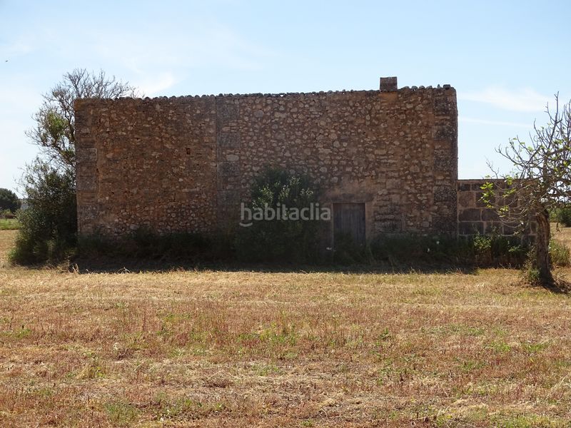 Foto 45662e4d-e684-4924-8327-faf0bda8e67d. Finca rústica a Zona Rústica - Interior Campos