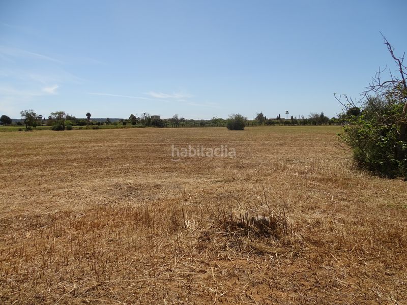 Foto 5c6a952b-e204-48e1-87ec-4a8d7ed19325. Finca rústica a Zona Rústica - Interior Campos