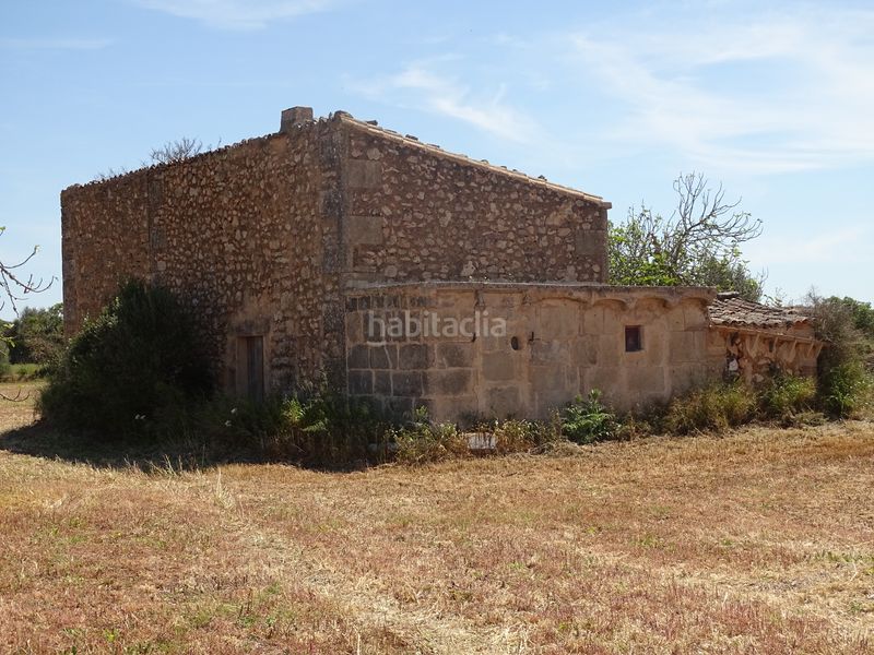 Foto 662894b6-675c-4d01-b836-9142a5200097. Finca rústica a Zona Rústica - Interior Campos