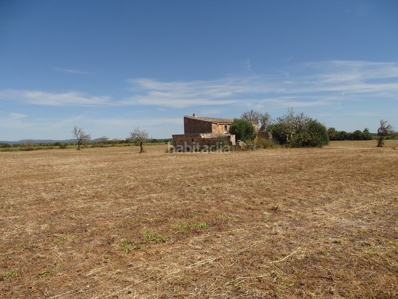 Foto 7074d818-cadf-4108-b402-6584f1e4d223. Finca rústica a Zona Rústica - Interior Campos