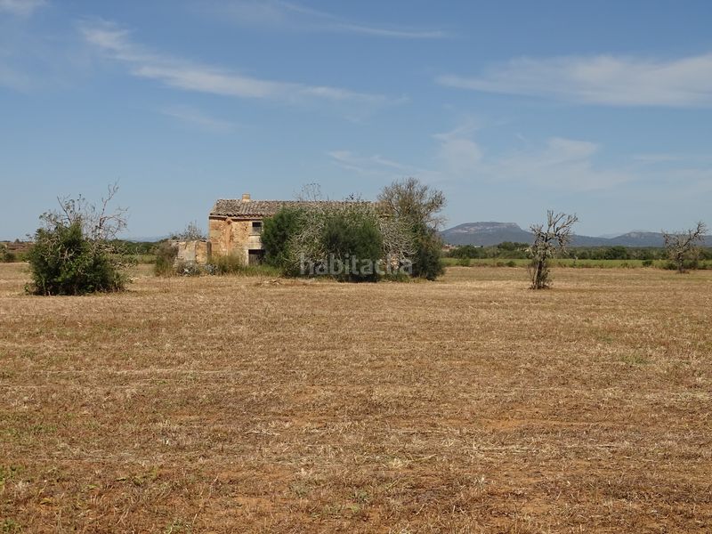 Foto 961c78c7-1aae-4536-965d-637d06912a0d. Finca rústica a Zona Rústica - Interior Campos