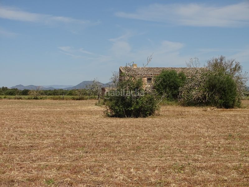 Foto bff763ac-1771-471c-a903-5d862bcf1538. Finca rústica a Zona Rústica - Interior Campos