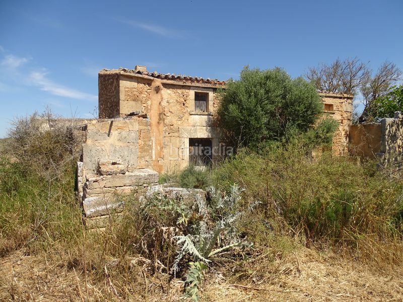 Foto ca4fcaaf-8d67-4362-a5eb-246defa68083. Finca rústica a Zona Rústica - Interior Campos