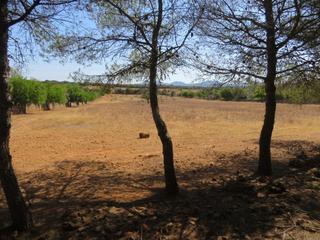Residential Plot in Campos