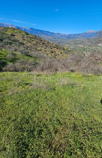 Foto 50b99d8c-fe6d-48dc-b5a7-ebec9dc3e184. Finca rústica terreno rústico en Guaro