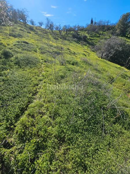 Foto 6008ccee-a5c5-4968-9148-9fab037b510f. Finca rústica terreno rústico en Guaro