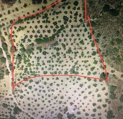 Finca rústica a Loja. Venta de terreno en loja (granada)