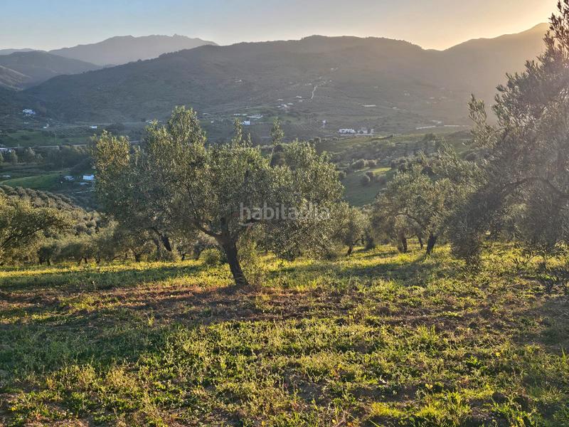 Foto 0b7ee2db-cb2a-421e-9778-6cc06cc365db. Landgut in Alozaina