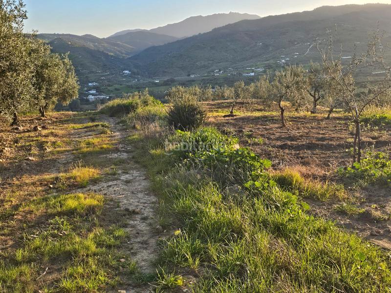 Foto 52ed976a-f74d-4d0c-b632-aae732306801. Landgut in Alozaina