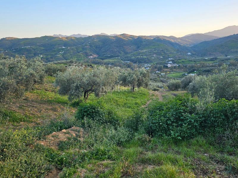 Foto 92eed97d-17c5-4e72-87ee-77214a71bbff. Landgut in Alozaina