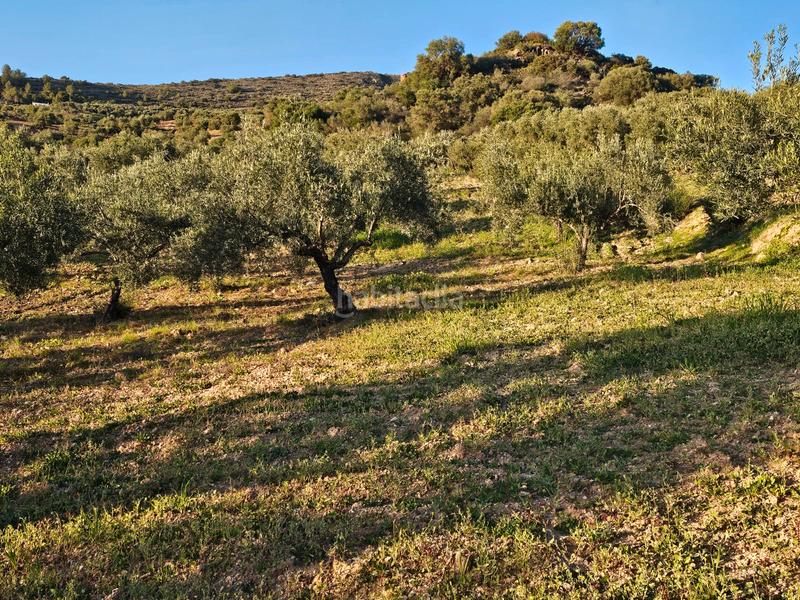 Foto aab1755f-e572-4784-ba37-d0486d40c767. Landgut in Alozaina