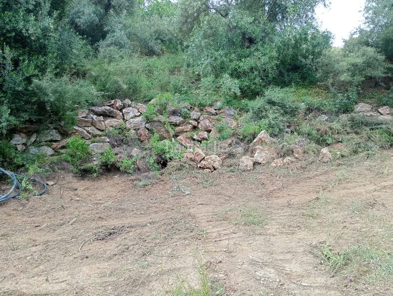 Foto 1d32220d-ecfc-41c0-a58a-6181d55f3002. Finca rústica a Monda