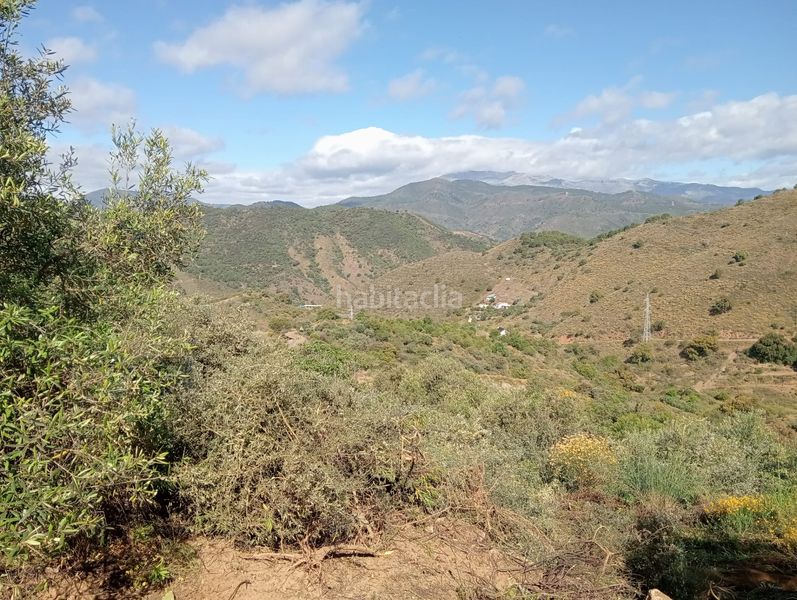 Foto 1dbcaa7d-fda1-4d9b-ba59-8512e32f9734. Finca rústica a Monda