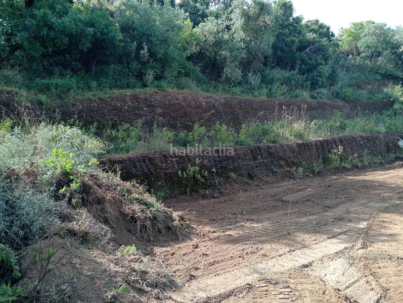 Foto 2f55e62d-8951-481b-a7c5-cc70499737e1. Finca rústica a Monda