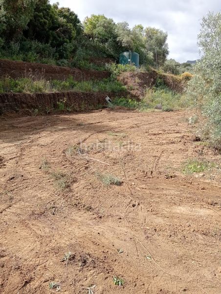 Foto f98ccec3-21b9-45f1-a1e3-75f7c33c0fb7. Finca rústica a Monda