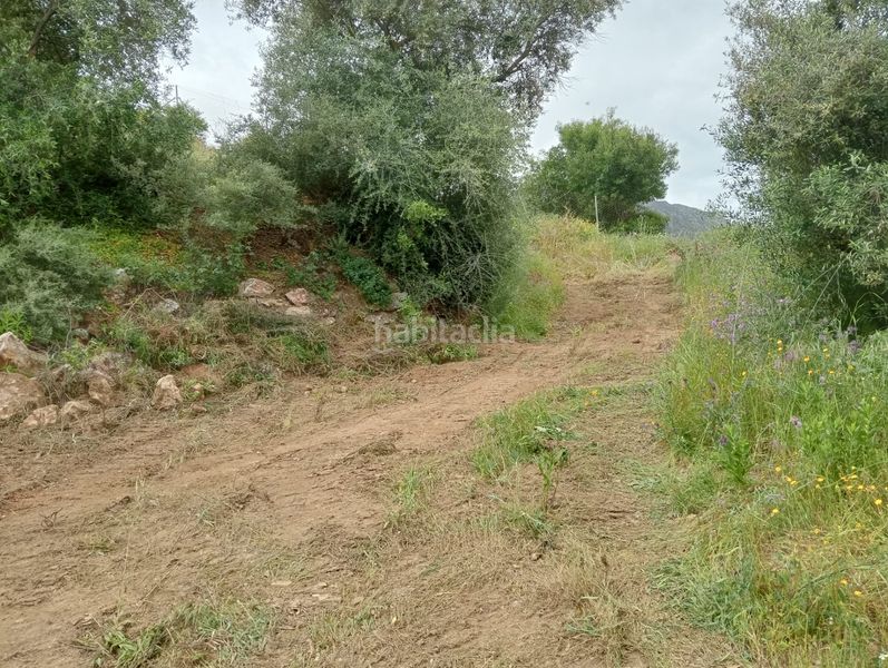 Foto fed448a7-bbcf-4d51-b0a8-b40702ca5b1a. Finca rústica a Monda