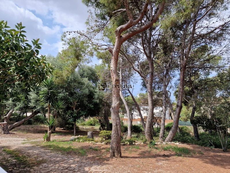 Foto 05796340-550c-4cf5-886b-0411f4f89560. Location maison avec chauffage parking piscine dans Vendrell (El)