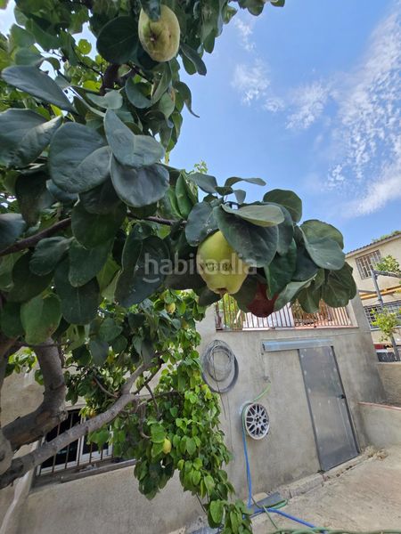 Foto 68fe994d-9b3a-43a6-98f1-896e36bb04bc. Casa  rodeada de zona verde en Castellví de la Marca