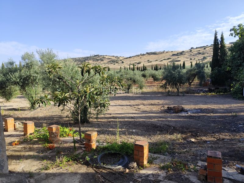 Foto 00025330-6317-4cc2-a4ff-7e8211939278. Finca rústica a Fuente del Maestre