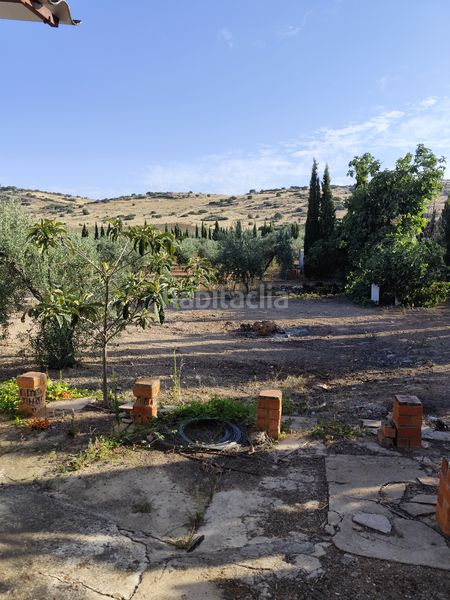 Foto 9b8d2570-0b6f-42ef-a80d-906b5b290796. Finca rústica a Fuente del Maestre