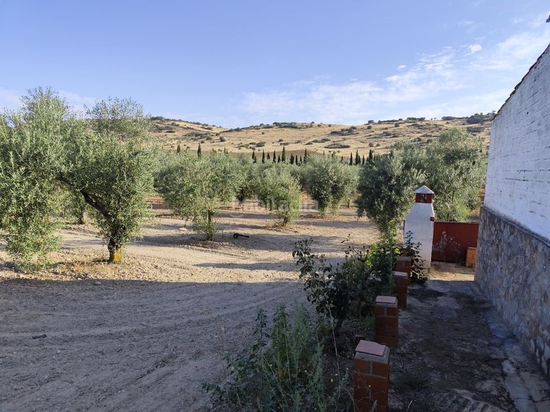 Foto a07d1900-2aea-435b-96a8-8ff014e11b4e. Finca rústica a Fuente del Maestre