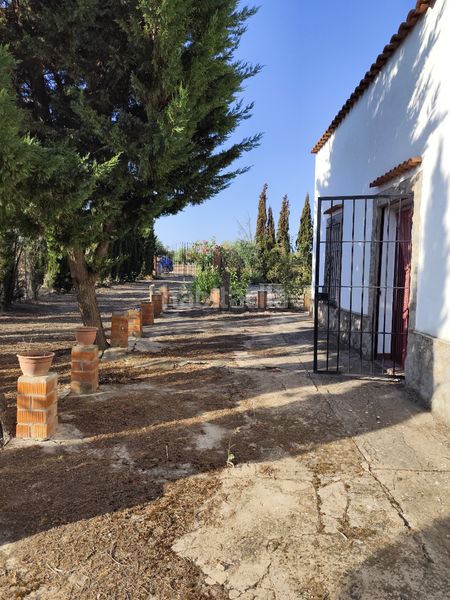 Foto a34a420e-2e04-40fb-a072-7c8b10dc6742. Finca rústica a Fuente del Maestre