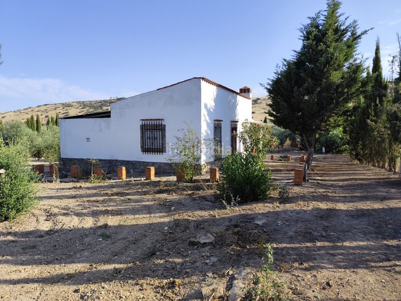 Foto e20e1302-eb45-44e7-b598-d5978e146fcc. Finca rústica a Fuente del Maestre