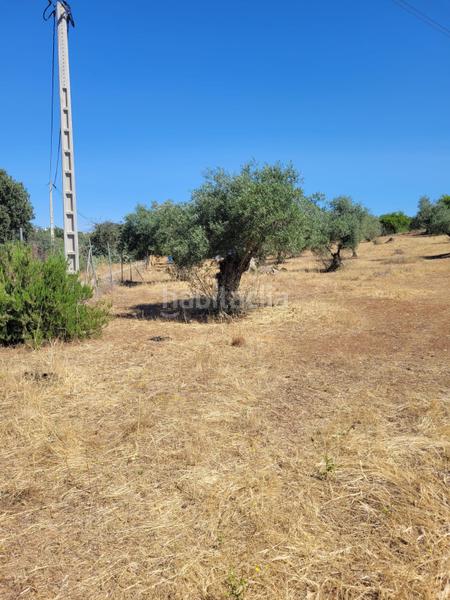 Foto a8bd2caa-bee3-49b2-975b-00596abdcdc6. Finca rústica parcela don alvaro en Don Álvaro