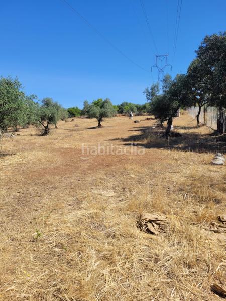 Foto db2a82de-4970-4390-acac-4a5584964712. Finca rústica parcela don alvaro en Don Álvaro