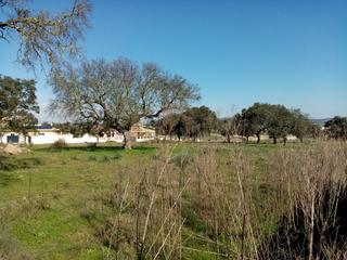 Terrain résidentiel à Este. Pàrcela urbana muy cerca de merida