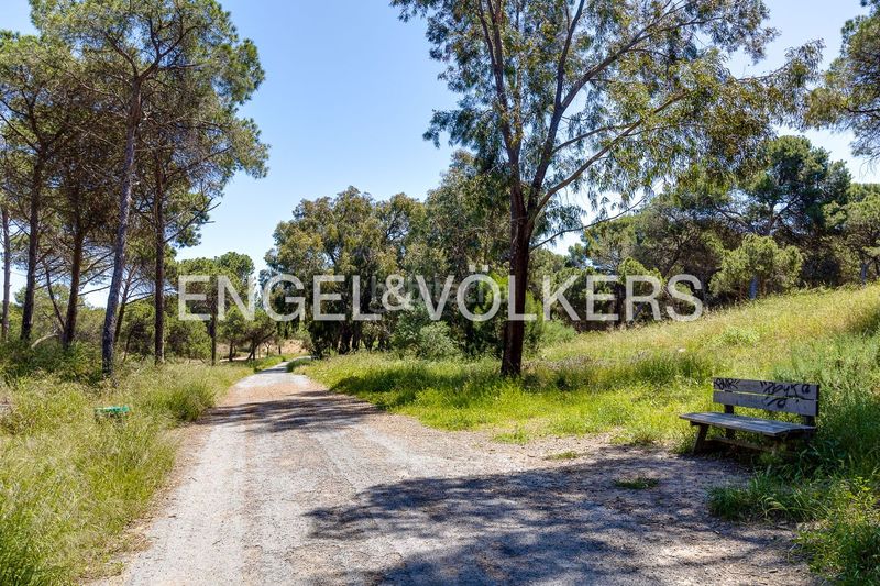 Foto 43c3bbb7-913a-4f0a-b524-8ca003d4e91a. Casa impresionante villa en estilo moderno en San Fulgencio