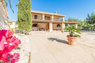 House in San Miguel de Salinas. Magnífica finca con gran casa en san miguel
