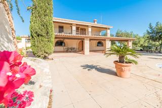 Maison à San Miguel de Salinas. Magnífica finca con gran casa en san miguel