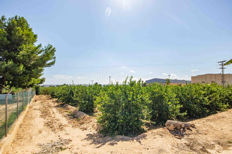 Foto b3498251-6348-4136-b137-8478427e2523. Masía finca rústica con 3.000m2 con casa de campo en los montesinos en Montesinos (Los)
