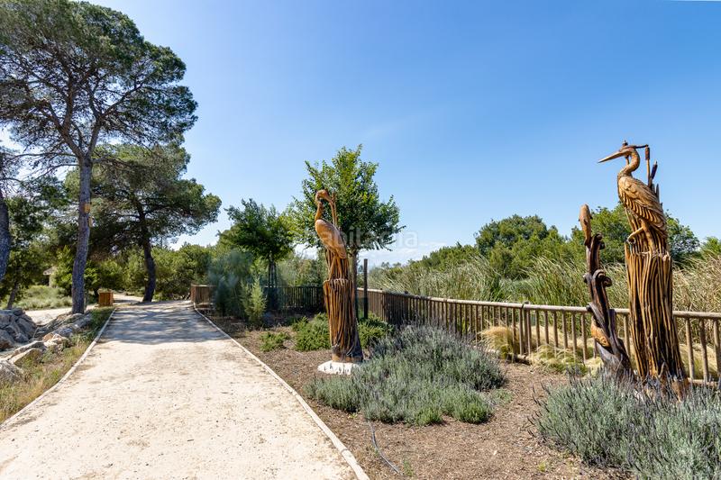 Foto 77cc751e-5460-4b07-ac9a-13ec75973dbe. Apartamento planta baja con jardín privado y piscina comunitaria en la fiesta quesada en Rojales