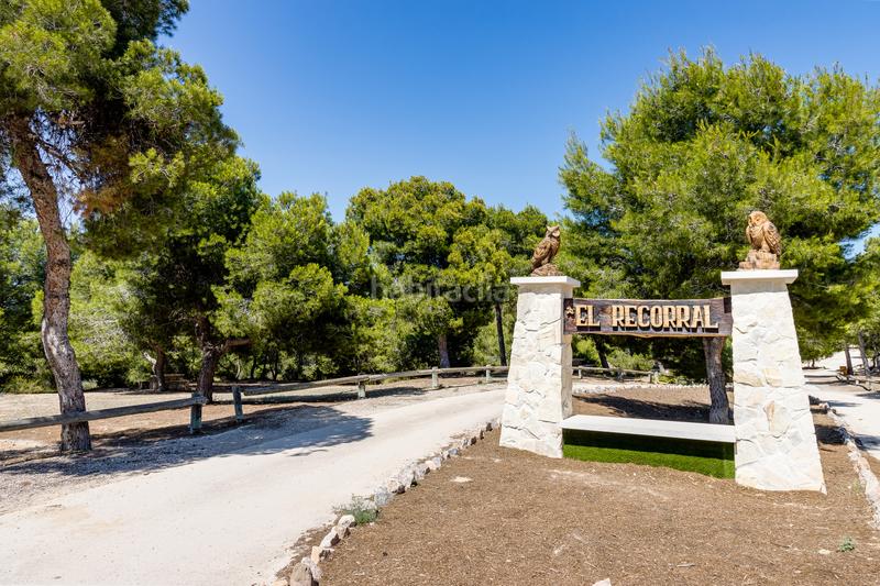 Foto ff02d74a-537c-47c0-832e-b3f01098764f. Apartamento planta baja con jardín privado y piscina comunitaria en la fiesta quesada en Rojales