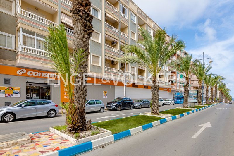 Foto 6325414f-29b1-4bc8-a7fc-d2ad7862e6ff. Pis amb calefacció a Avenida Habaneras - Curva de Palangre Torrevieja