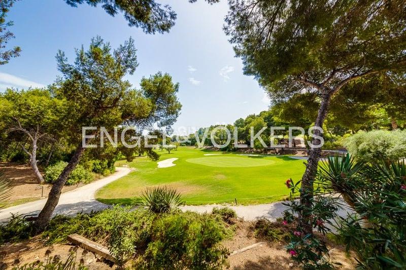 Foto 2ac18050-e02a-4577-9849-a7c50c192112. Casa con riscaldamento parcheggio piscina in Los Almendros Orihuela