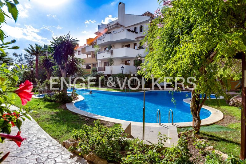Foto cc4ac352-846c-4575-8056-37ad9ec011c6. Flat with heating parking pool in Punta Prima Torrevieja