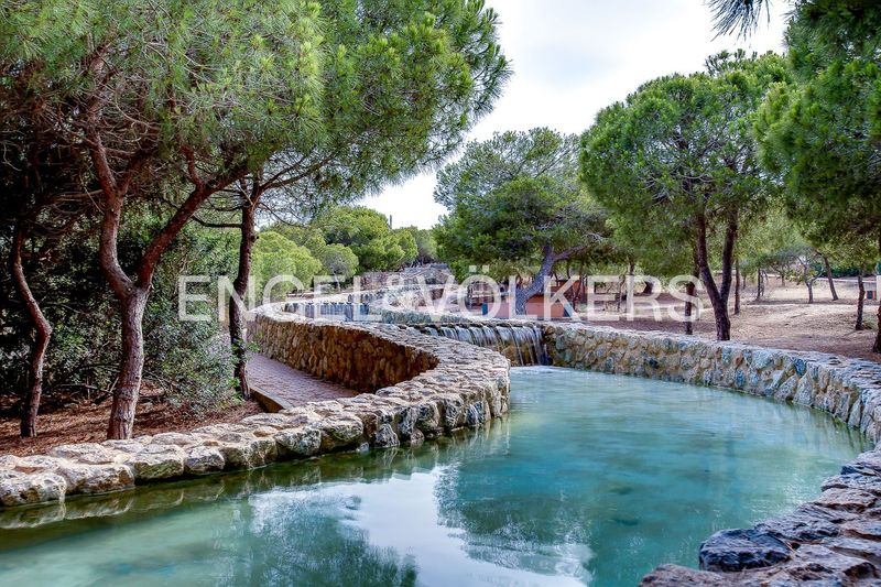 Foto 6f48cefa-7009-4e7b-a691-da459a25cdfd. Masia amb calefacció aparcament piscina a Cañada del Molino Torrevieja