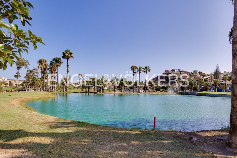 Foto 0b893213-ace2-485d-b887-1e51fec4de15. Àtic amb calefacció aparcament piscina a La Marquesa Rojales