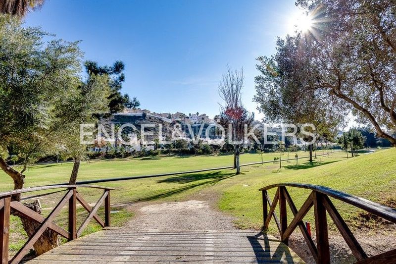 Foto 8a690087-8654-4d1e-b334-4c2574dbdaa6. Àtic amb calefacció aparcament piscina a La Marquesa Rojales